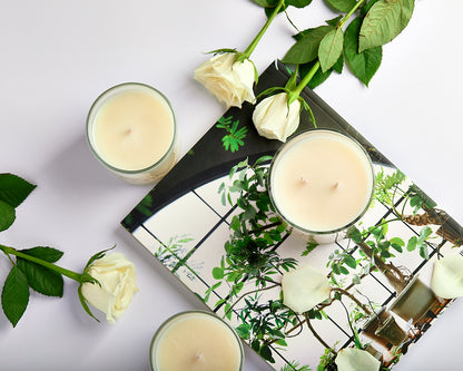 Lemon Myrtle
