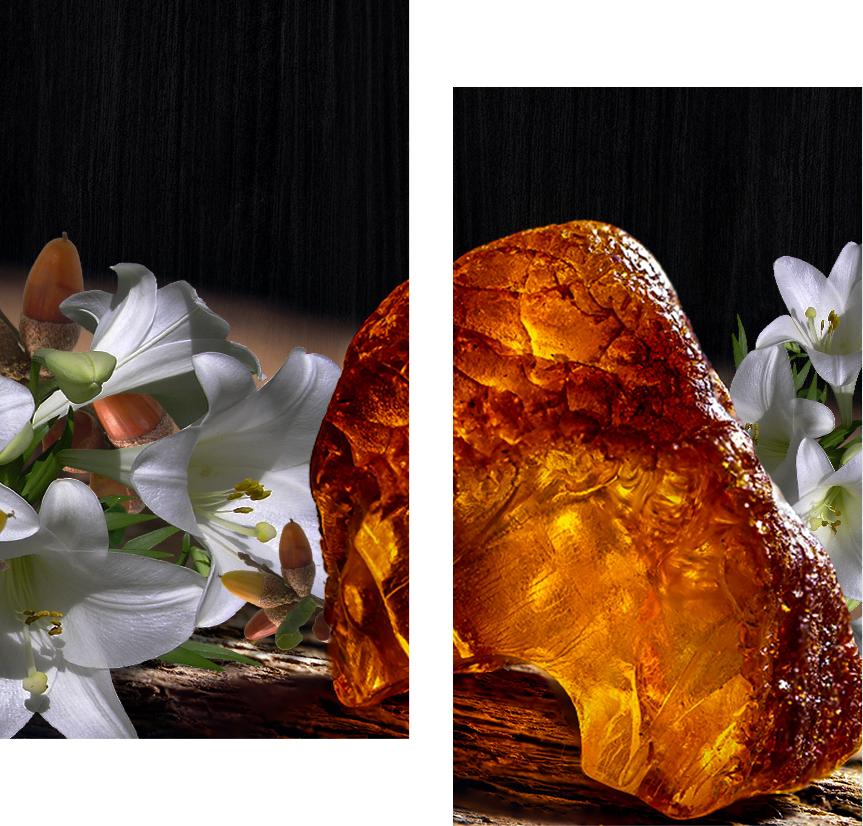 Let_scelbrate - Pine, Orange, Muguet