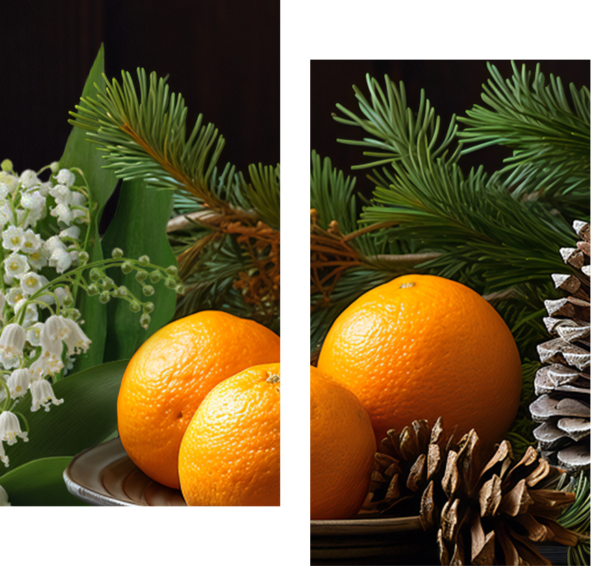 LET_SCELBRATE_MIDDLE_orange+pine