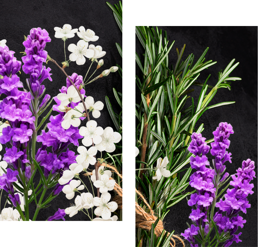 lostinparadise_Middle